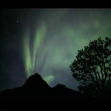 بيت للعطل Charming House In Fjord Lofoten Slydalen