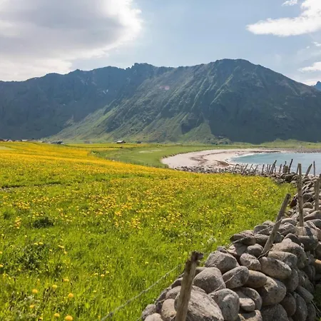 Charming House In Fjord Lofoten Holiday home